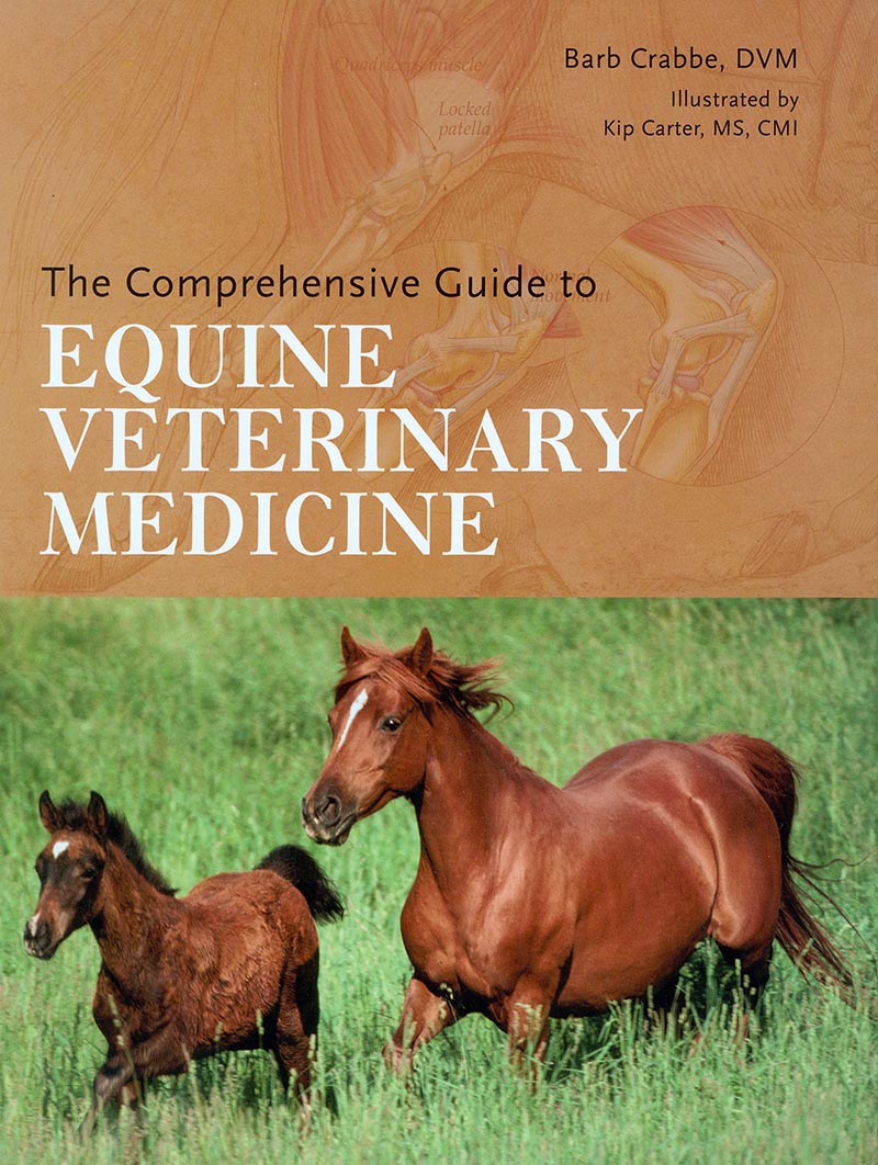 The Comprehensive Guide to Equine Veterinary Medicine by Barb Crabbe