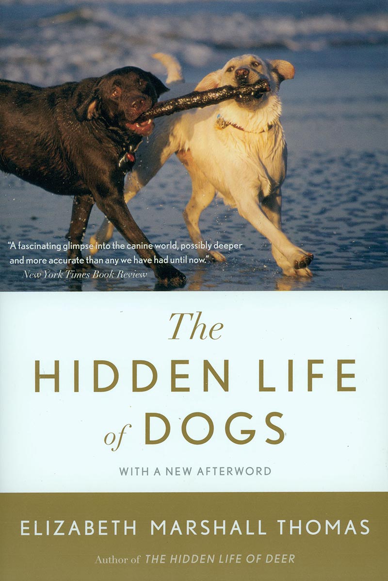 a book review of elizabeth thomass the hidden life of dogs Enjoy millions of the latest android apps, games, music, movies, tv, books, magazines & more anytime, anywhere, across your devices. a book review of elizabeth thomass the hidden life of dogs Enjoy millions of the latest android apps, games, music, movies, tv, books, magazines & more anytime, anywhere, across your devices.
