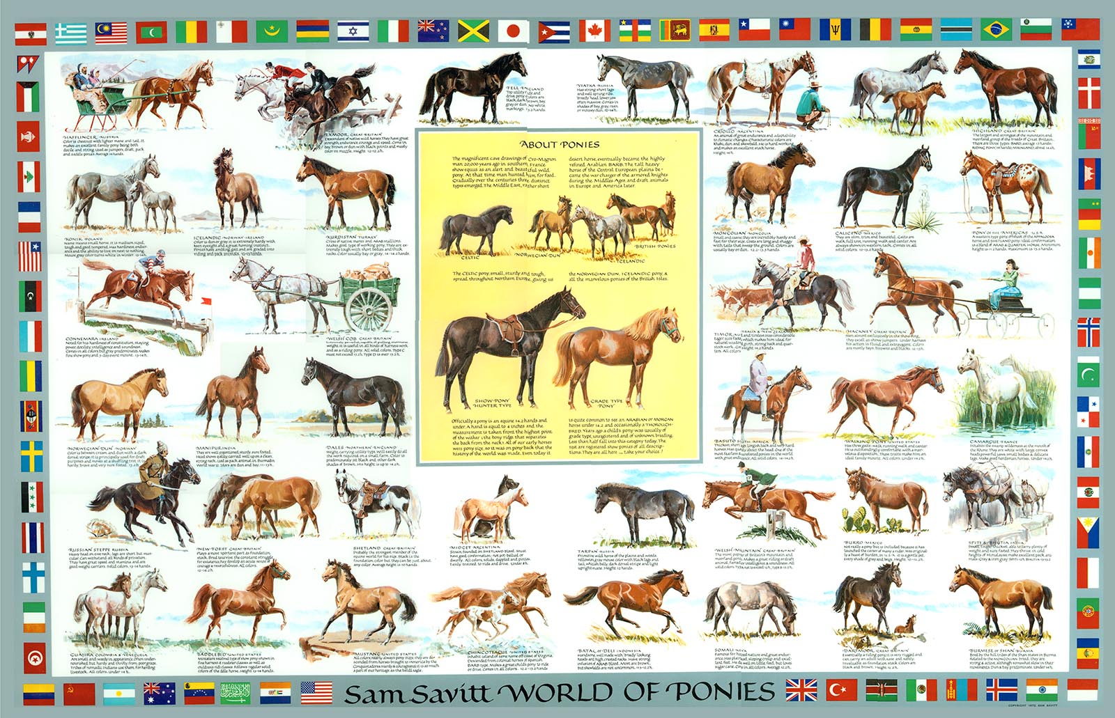 World of Ponies Chart by Sam