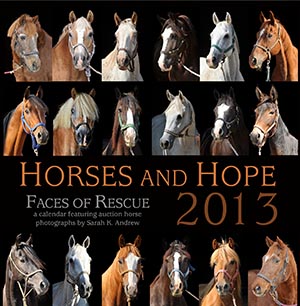 Horses and Hope 2013 Calendar
