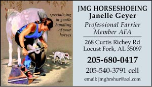 BC13 Business Card