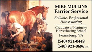 BC1 Business Card