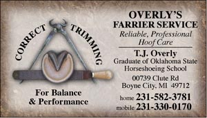 BC23 Business Card