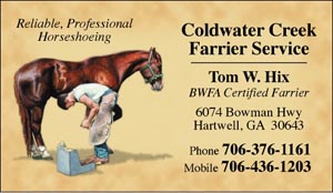 BC27 Business Card