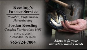 BC31 Business Card