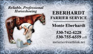 BC33 Business Card