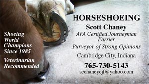 BC41 Business Card