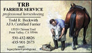 BC9 Business Card