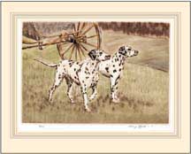 Dalmatians