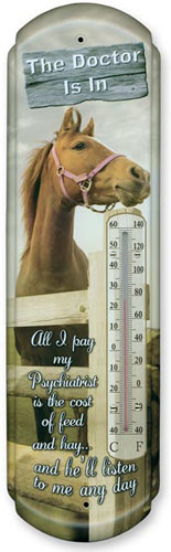 The Doctor is in Thermometer