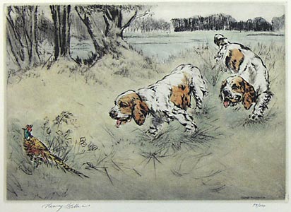 Clumber Spaniels