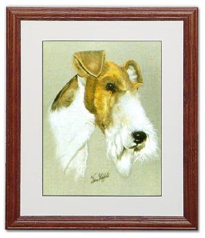 Fox Terrier