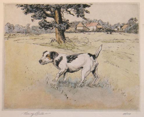 Jack Russell