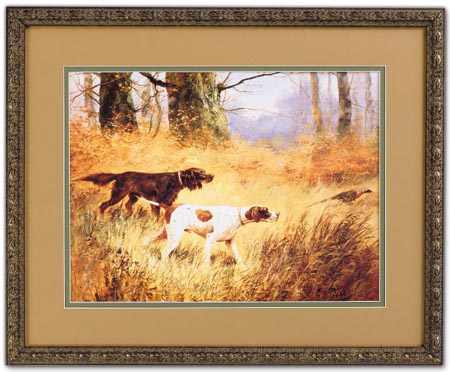 Hunting Pheasant