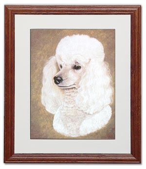 Poodle