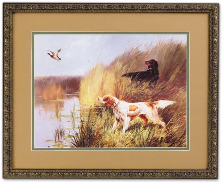 Hunting Duck