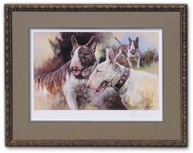Bull Terriers