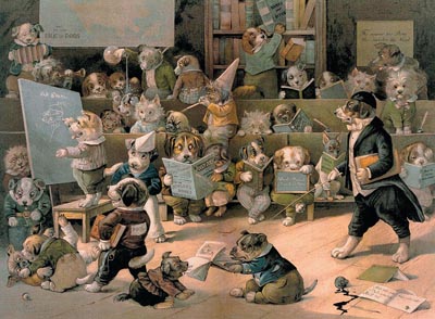 The Dogs Academy