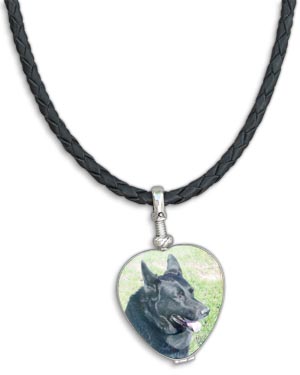 Glass Heart Locket