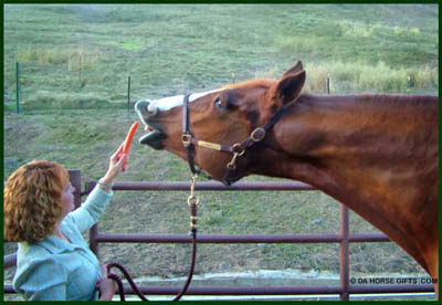 horse_carrots2.jpg