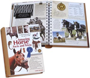 Horse Facts Book