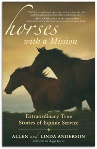 Women Needs a Horse Book