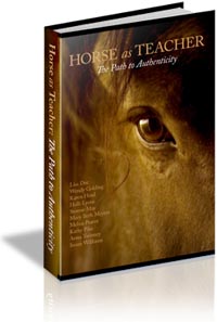 Horse As Teacher