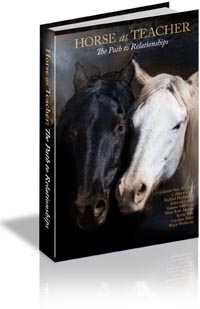 Horse As Teacher