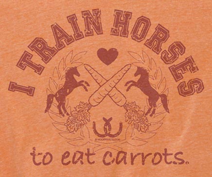 I Train Horses