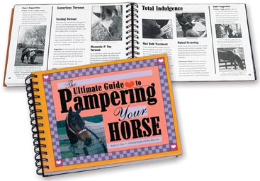 Pampering Your Horse