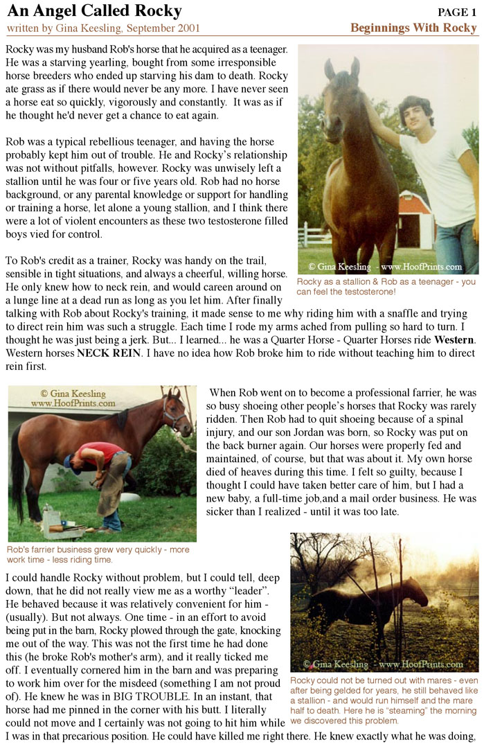 Rocky Story - Page 1
