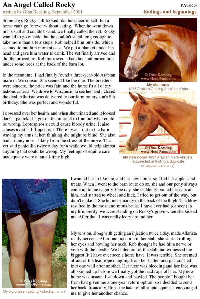 Rocky Story - Page 3