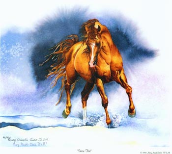 Snowfire