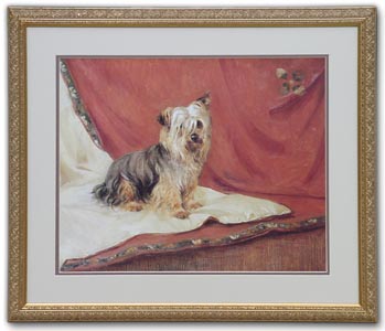 Yorkshire Terrier