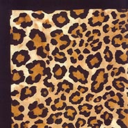 Exotic Leopard with Black Border Wild Rag 100% Silk Scarf Cowboy Bandana *NEW*