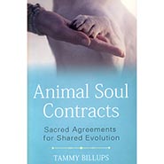 Animal Soul Contracts: Sacred Agreements for Shared Evolution by Tammy Billups