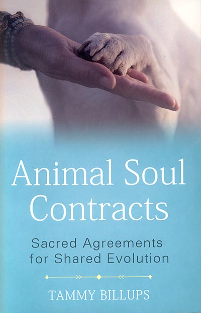 Animal Soul Contracts: Sacred Agreements for Shared Evolution by Tammy Billups