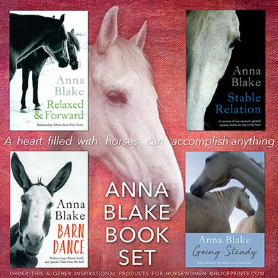 Set of 4 Anna Blake Books