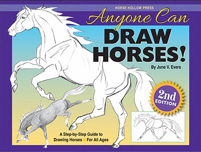 Anyone Can Draw Horses! by June Evers A Step-by-Step Guide to Drawing Horses for all ages *NEW!*