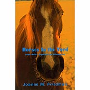 Horses In The Yard (And Other Equestrian Dilemmas)