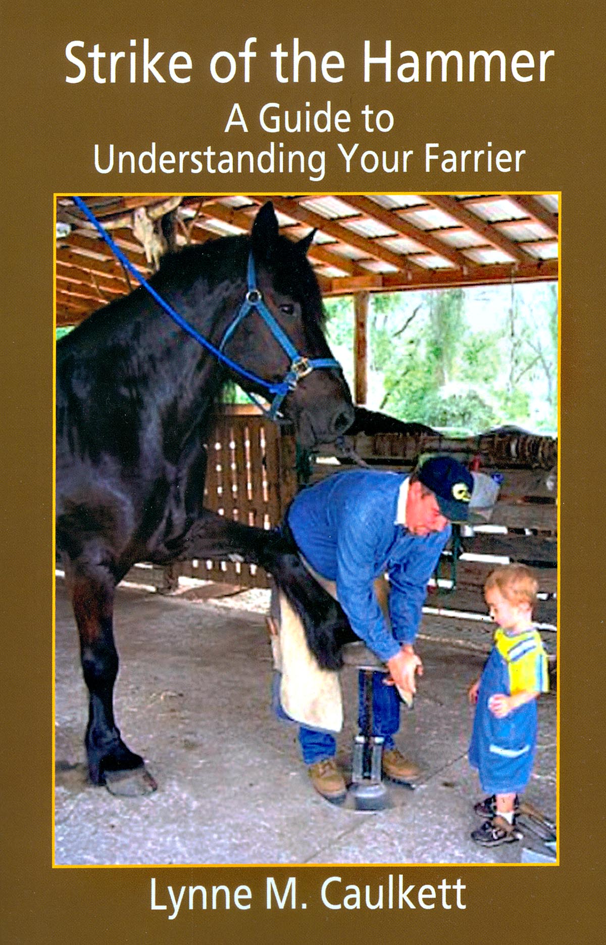 Strike of the Hammer Guide to Understanding Farrier Bookwww