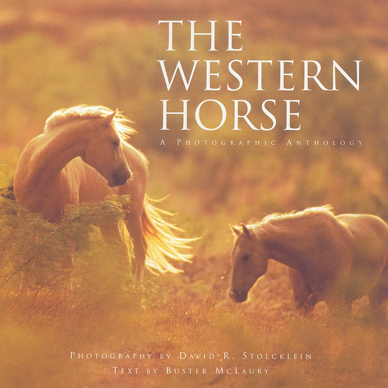 The Western Horse Coffee Table Book A Photographic