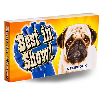 Best in Show Dog Flipbook featuring a Pug, Bull Terrier, Yellow Lab and Basset Hound