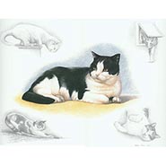 Black and White Cat Print by Nigel Hemming printed 1989 in England *ONLY 1 AVAILABLE*
