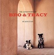 The Adventures of Bro and Tracy by Joyce Fay *HALF PRICE ONLY 1 AVAILABLE*