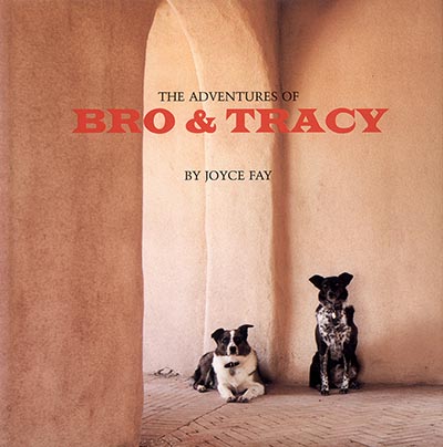 The Adventures of Bro and Tracy by Joyce Fay *HALF PRICE ONLY 1 AVAILABLE*