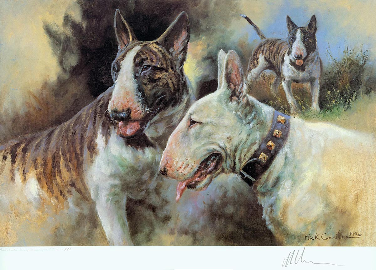 FRAMED Bull Terriers Limited Edition Print by Mick Cawston VERY RARE