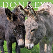 2027 Just Donkeys Big Wall Calendar *NEW!*