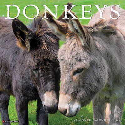 2027 Just Donkeys Big Wall Calendar *NEW!*