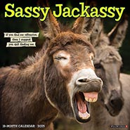 2025 Sassy Jackassy Funny and Inspirational Wall Calendar *LAST ONE!*